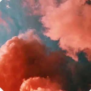 Meet your Posher, Elizaveta